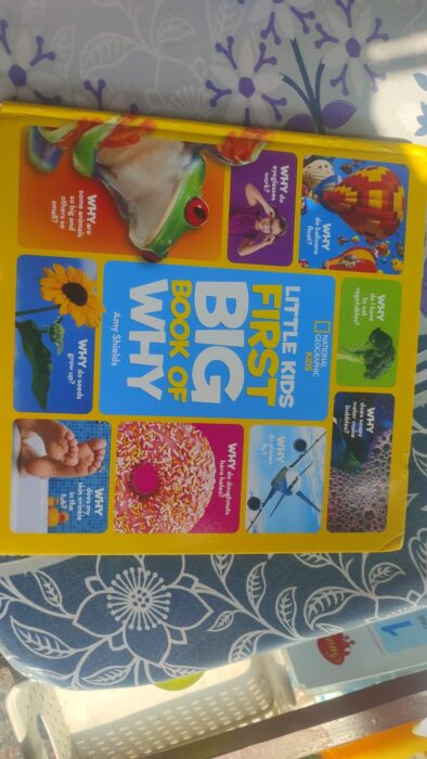 Little kids First Big Book of Why