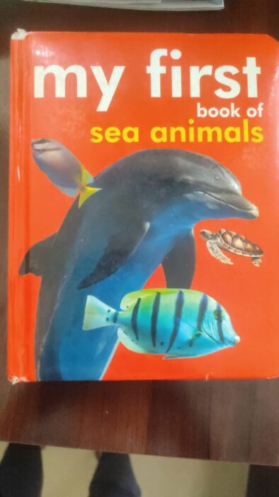 My First Book of Sea Animals